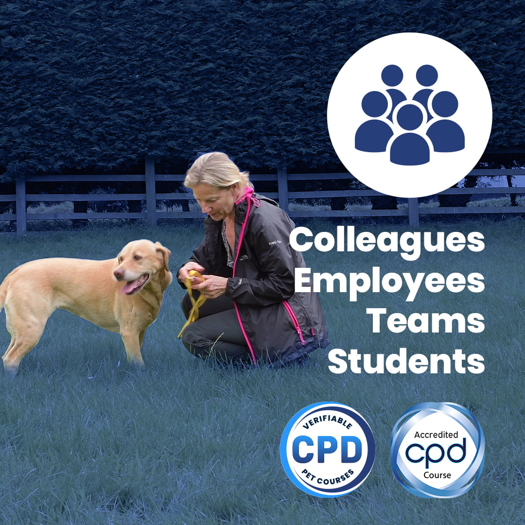 Certificate in Canine Handling & Understanding Communication Signals