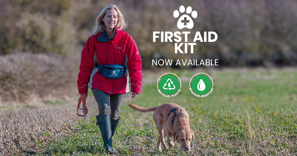 The PET First Aid Kit Pet Education and Training Courses