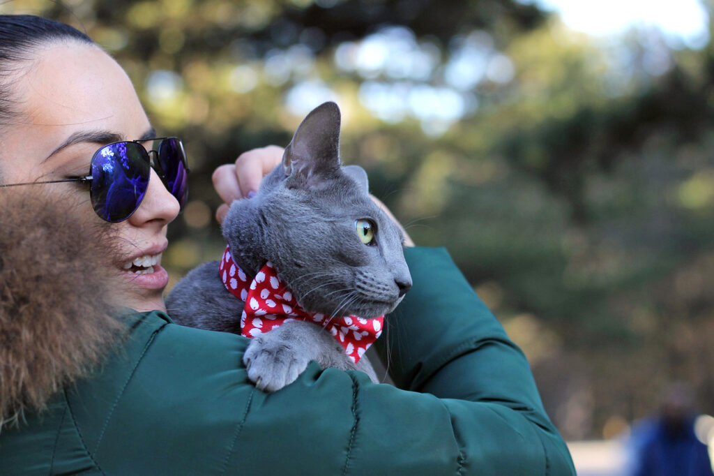 Cat being held, looking anxious