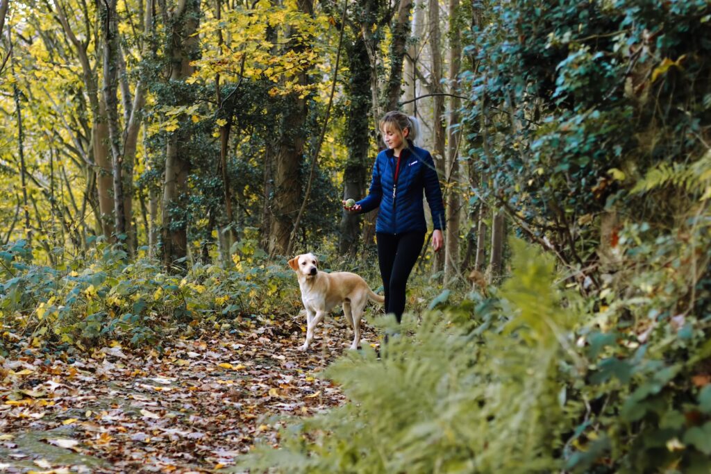 Woman walking a labrador dog outside surrounded by autumnal trees and fallen leaves.